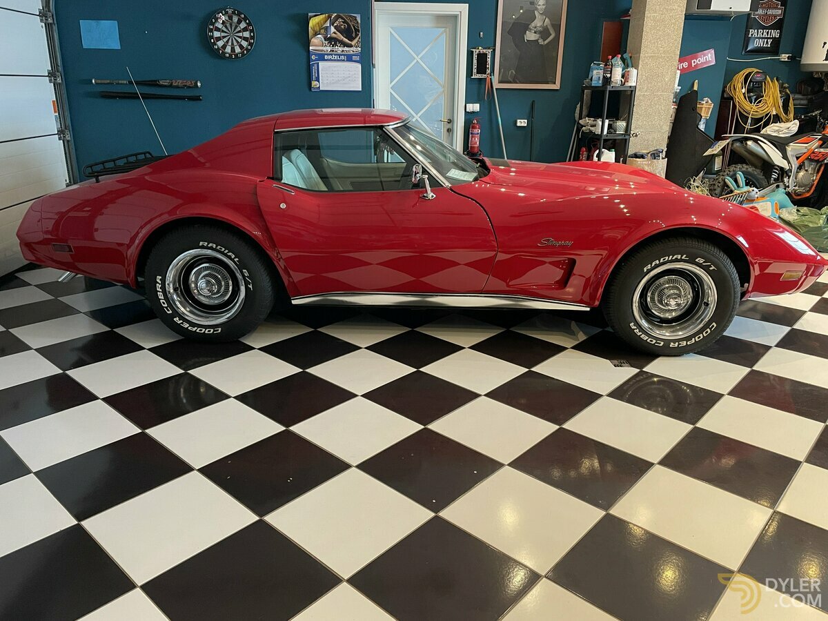 1976 Chevrolet Corvette, foto 11