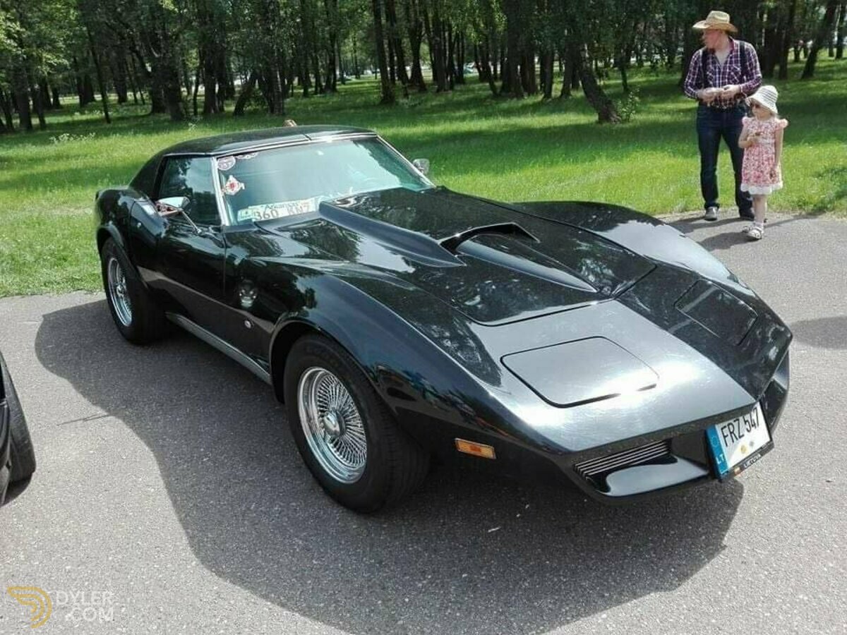 1976 Chevrolet Corvette, foto 4