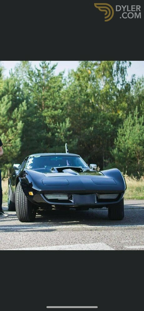1976 Chevrolet Corvette, foto 5