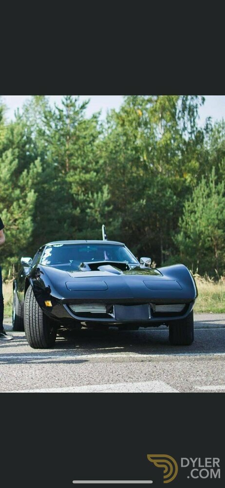 1976 Chevrolet Corvette, foto 6