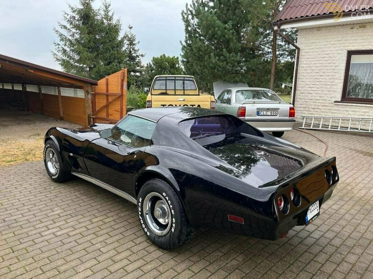 1976 Chevrolet Corvette, foto 7