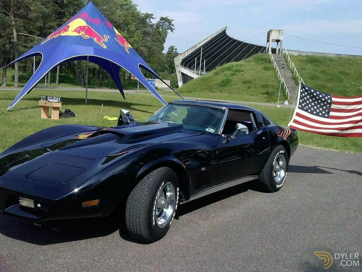 1976 Chevrolet Corvette, foto 8