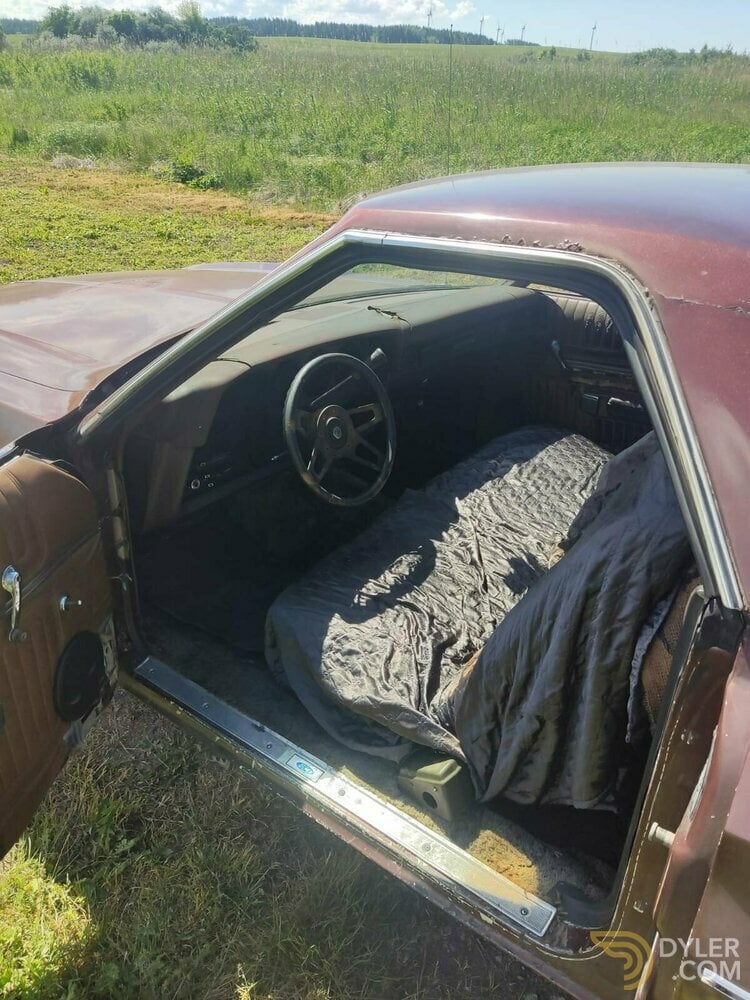 1973 Ford Ranchero, foto 2