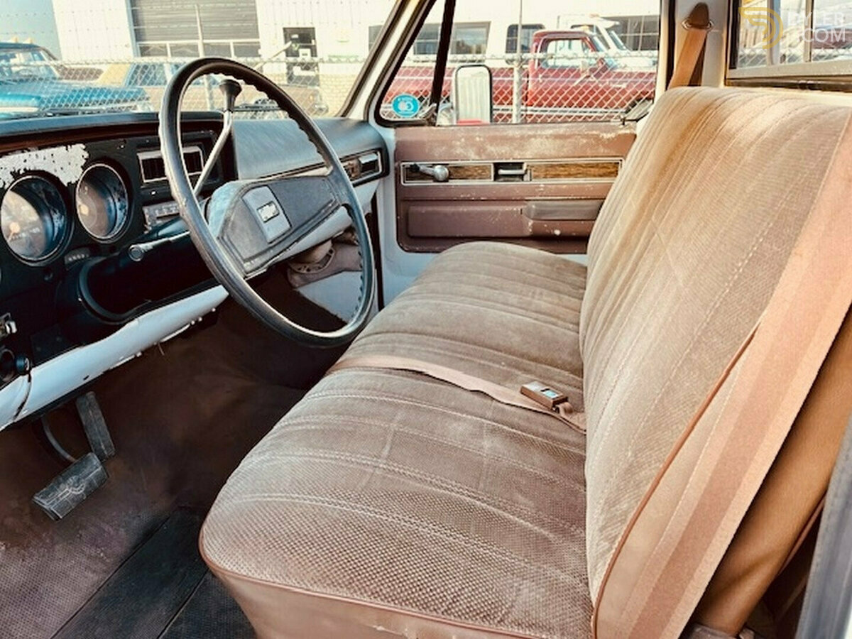 1976 Chevrolet C20 Pick-Up automatic, foto 4