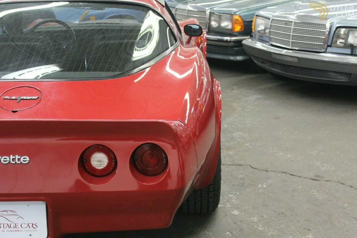 1981 Chevrolet Corvette Stingray C3, foto 6