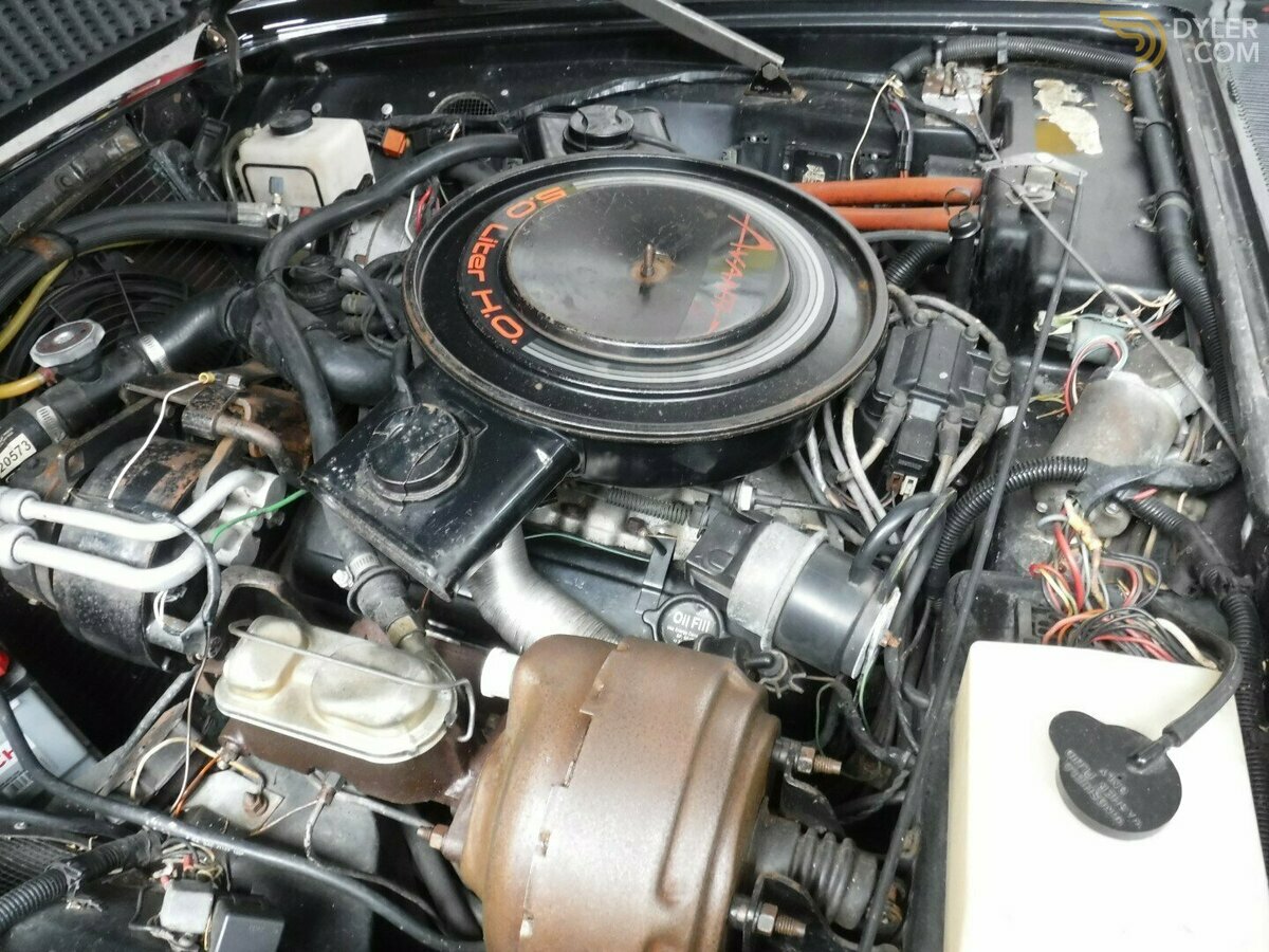 1984 Studebaker Avanti 8 cylinder 5.7Ltr, foto 10