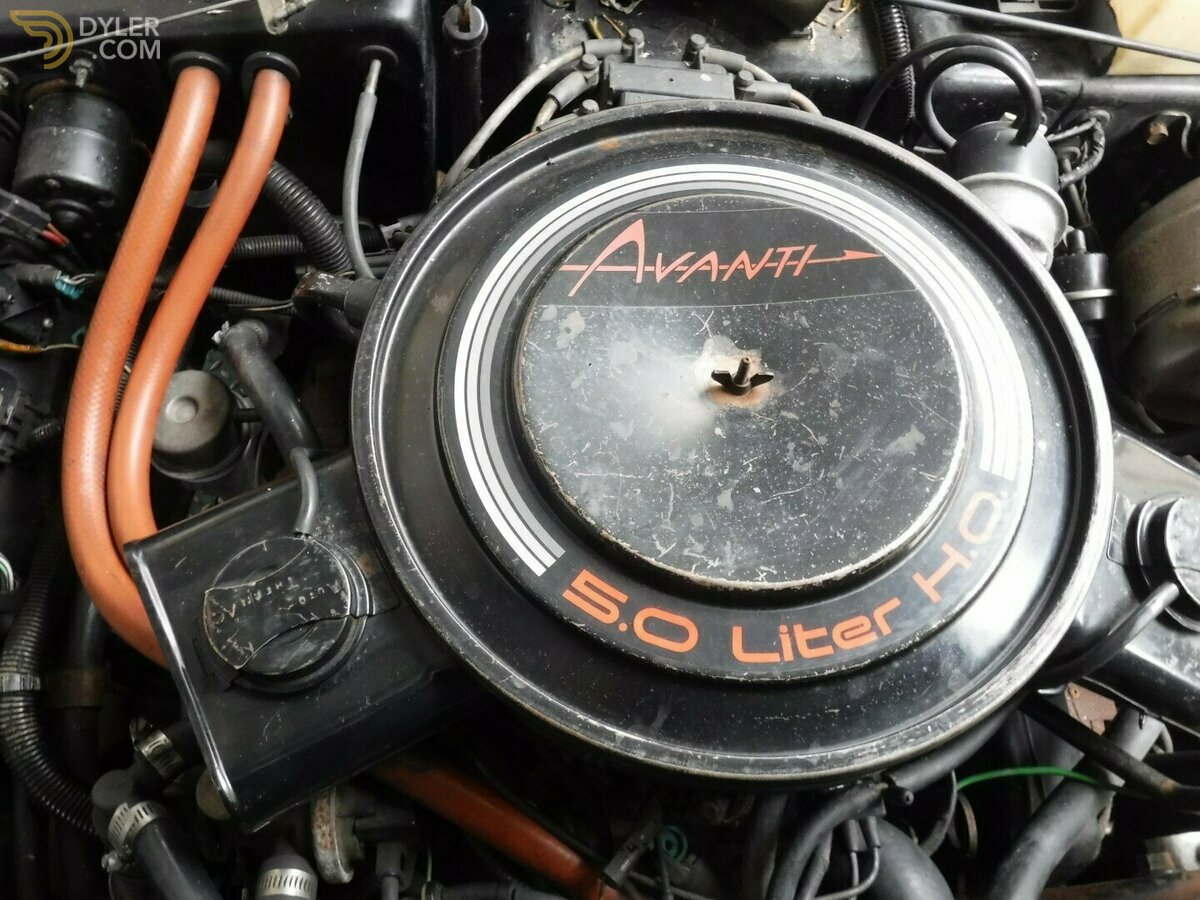 1984 Studebaker Avanti 8 cylinder 5.7Ltr, foto 12