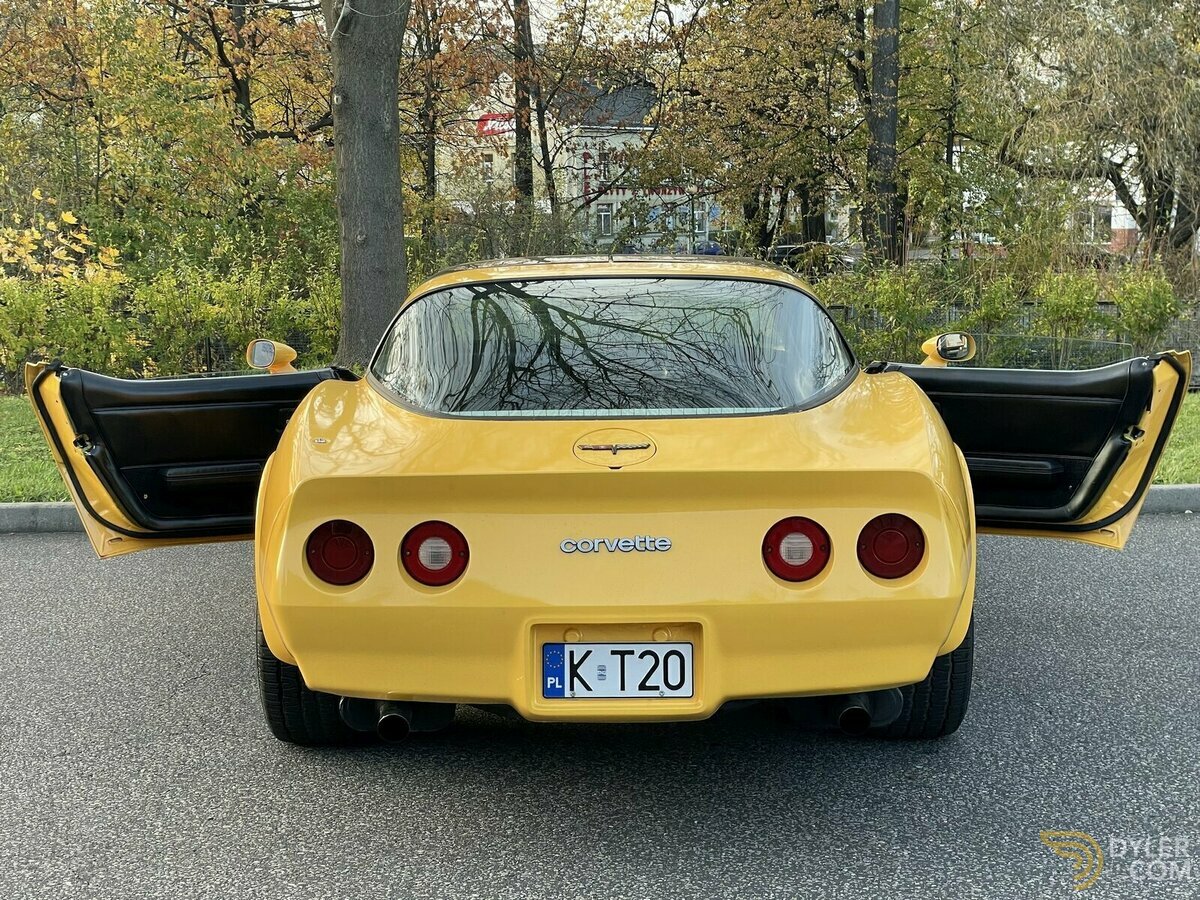 1981 Chevrolet Corvette C3, foto 4
