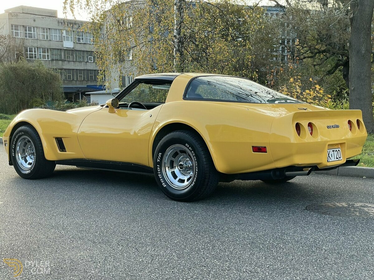 1981 Chevrolet Corvette C3, foto 3