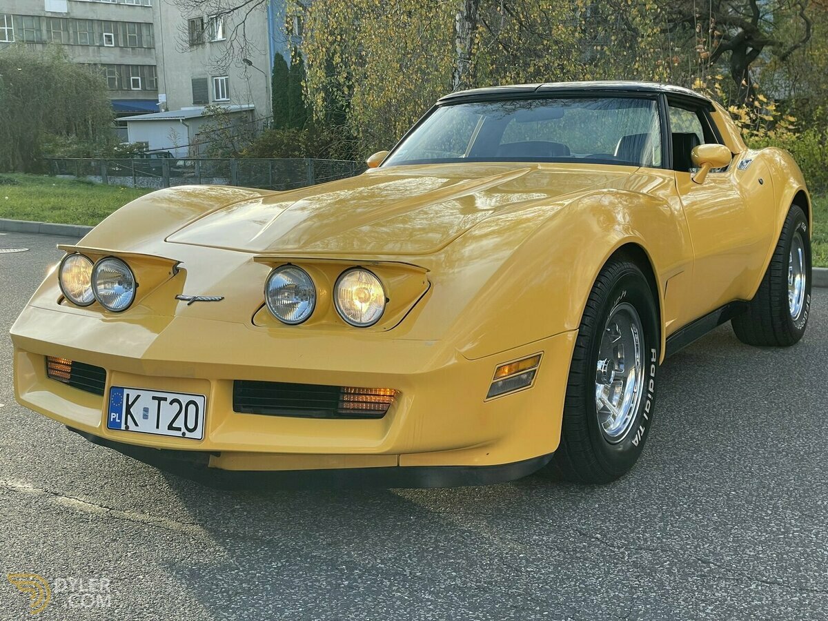 1981 Chevrolet Corvette C3, foto 2