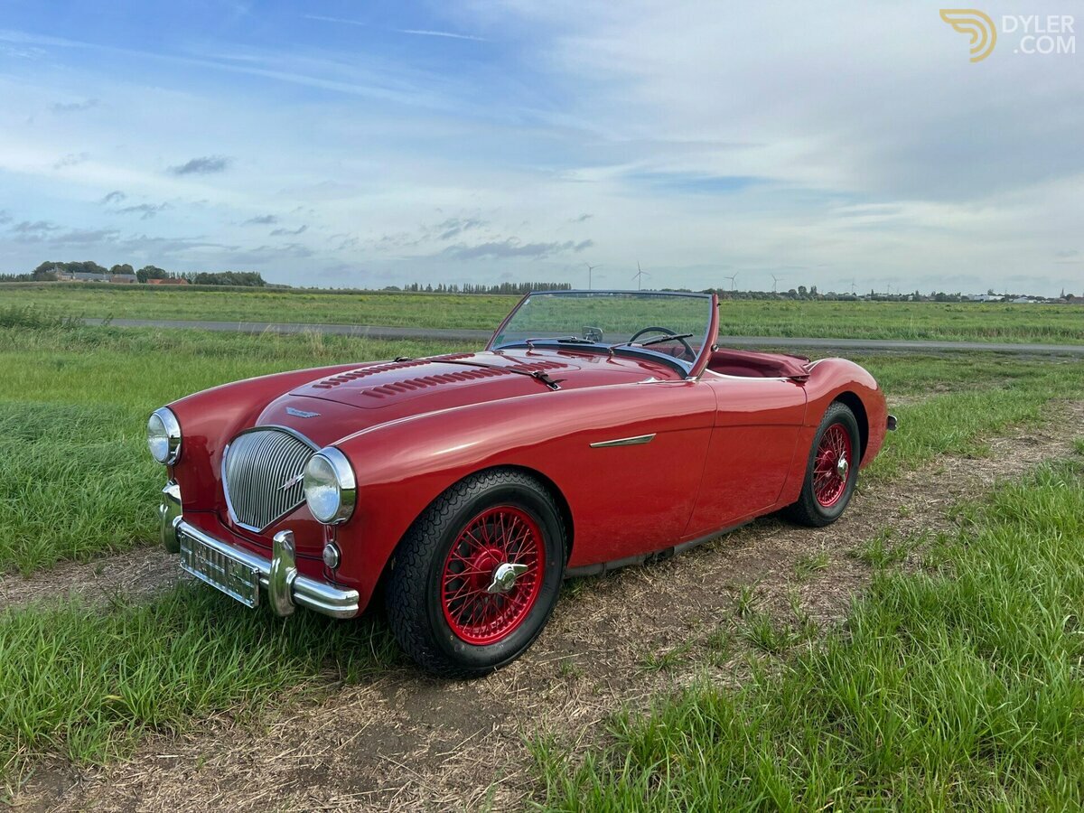 1954 Austin-Healey 100 /4, foto 1