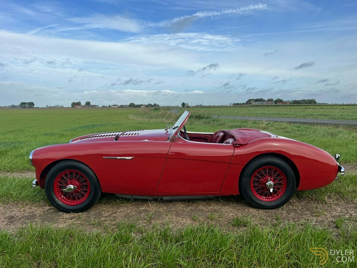1954 Austin-Healey 100 /4, foto 4