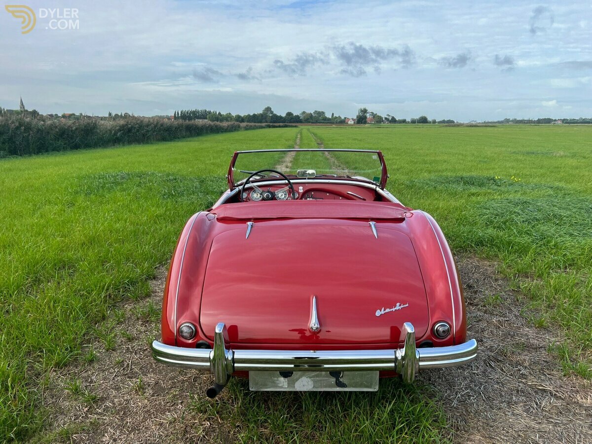 1954 Austin-Healey 100 /4, foto 8