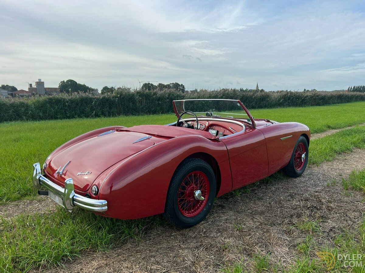1954 Austin-Healey 100 /4, foto 9