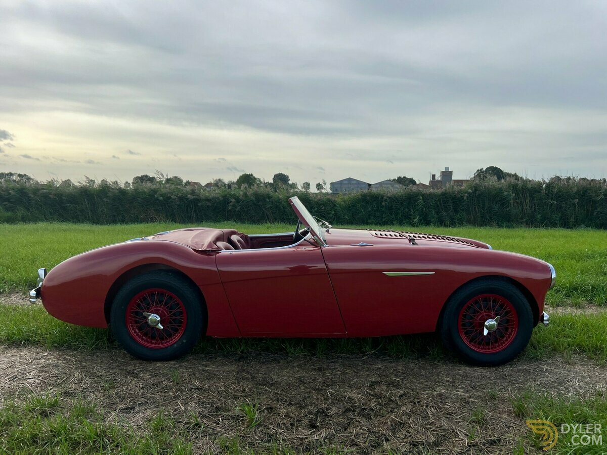 1954 Austin-Healey 100 /4, foto 2
