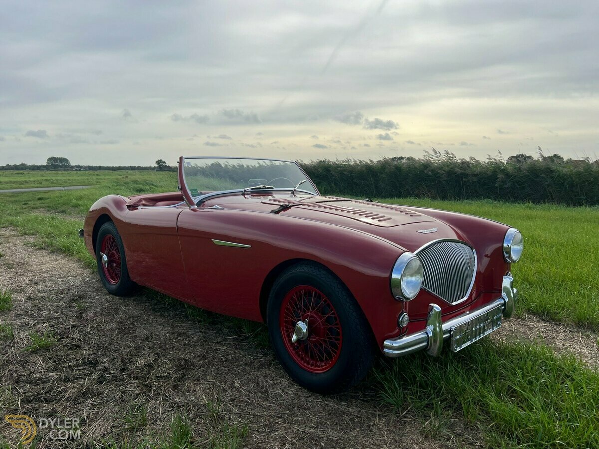 1954 Austin-Healey 100 /4, foto 3