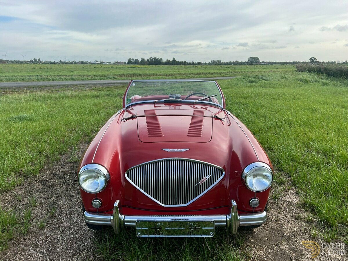 1954 Austin-Healey 100 /4, foto 10