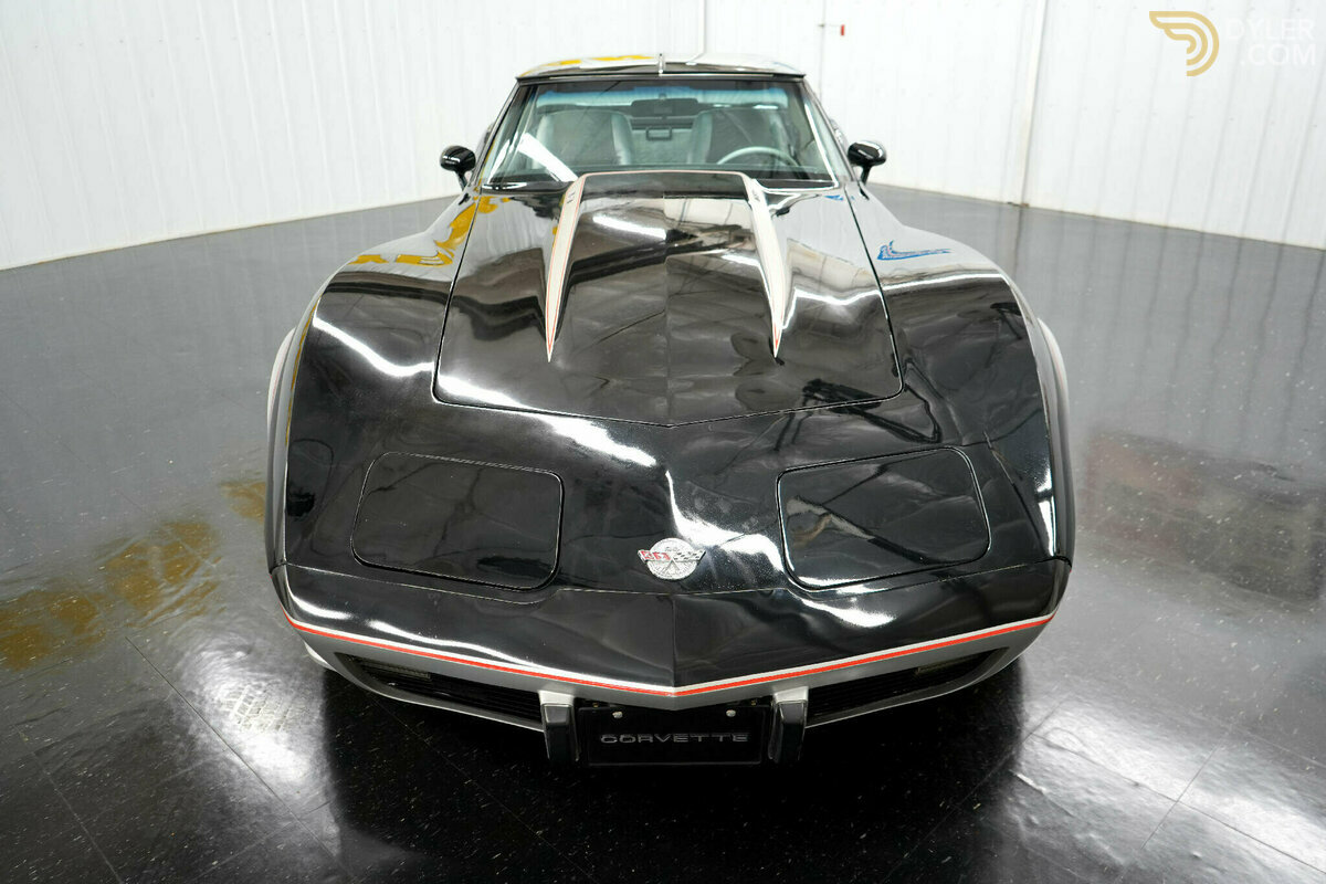 1978 Chevrolet Corvette, foto 11