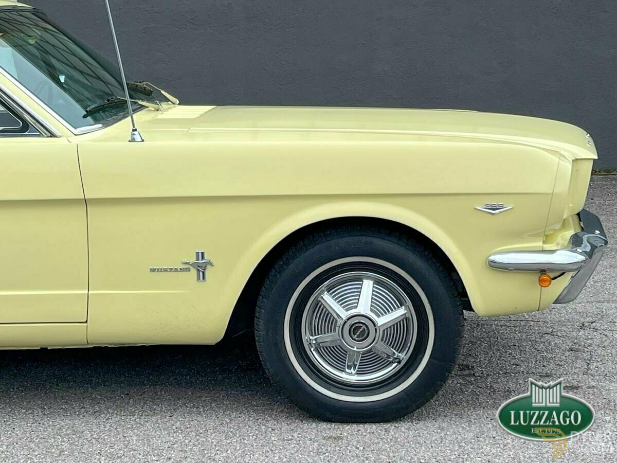 1966 Ford Mustang 289, foto 4