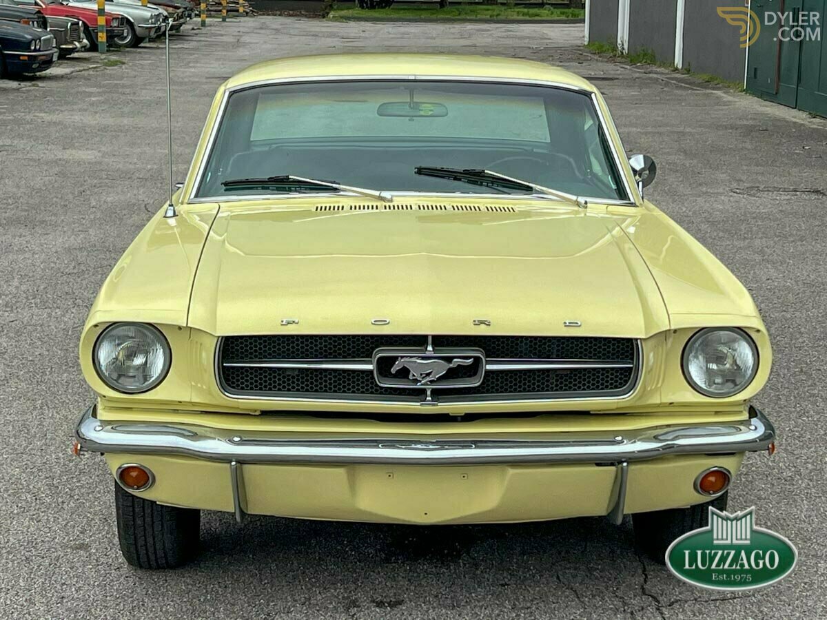 1966 Ford Mustang 289, foto 5