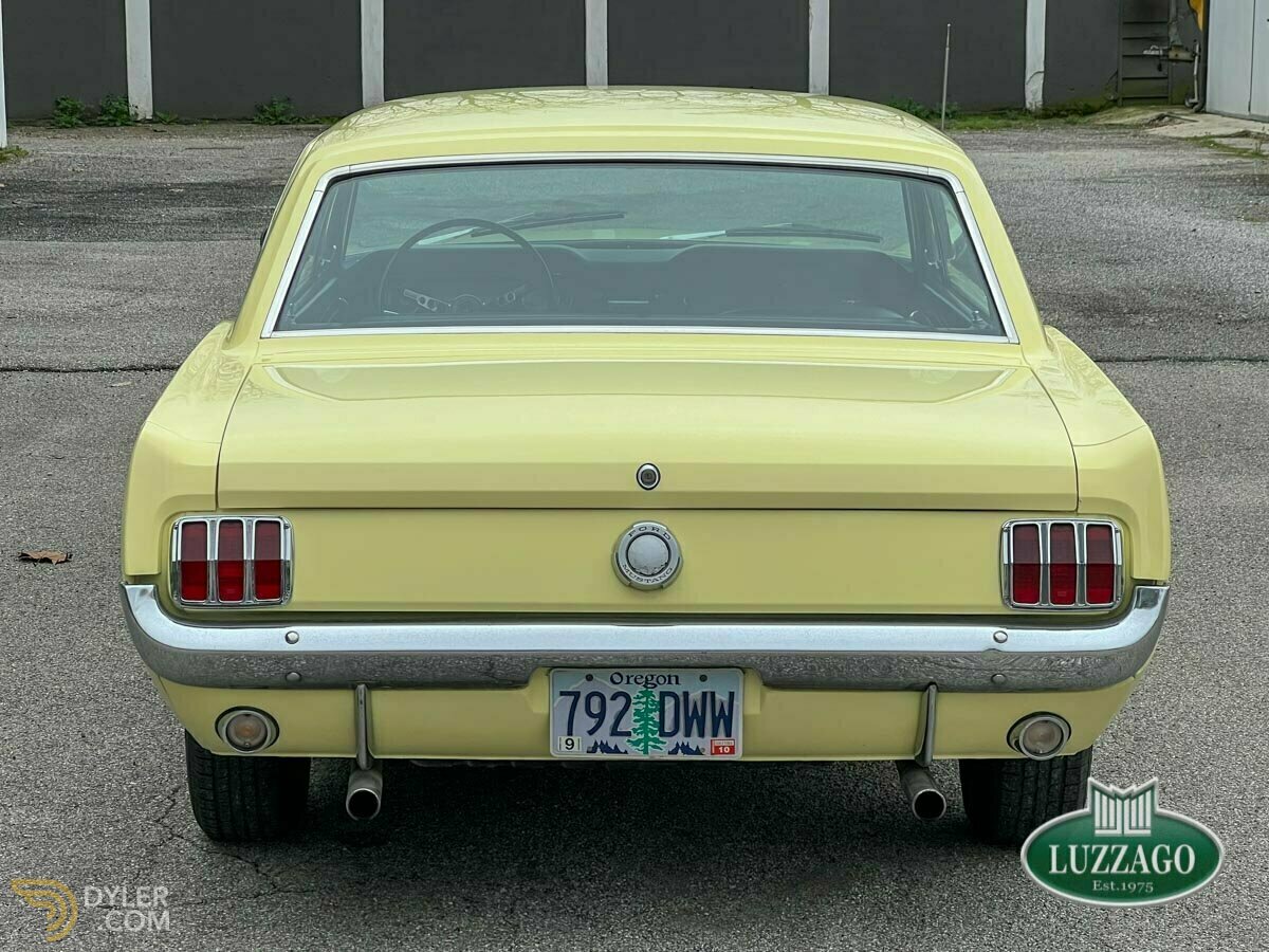 1966 Ford Mustang 289, foto 10