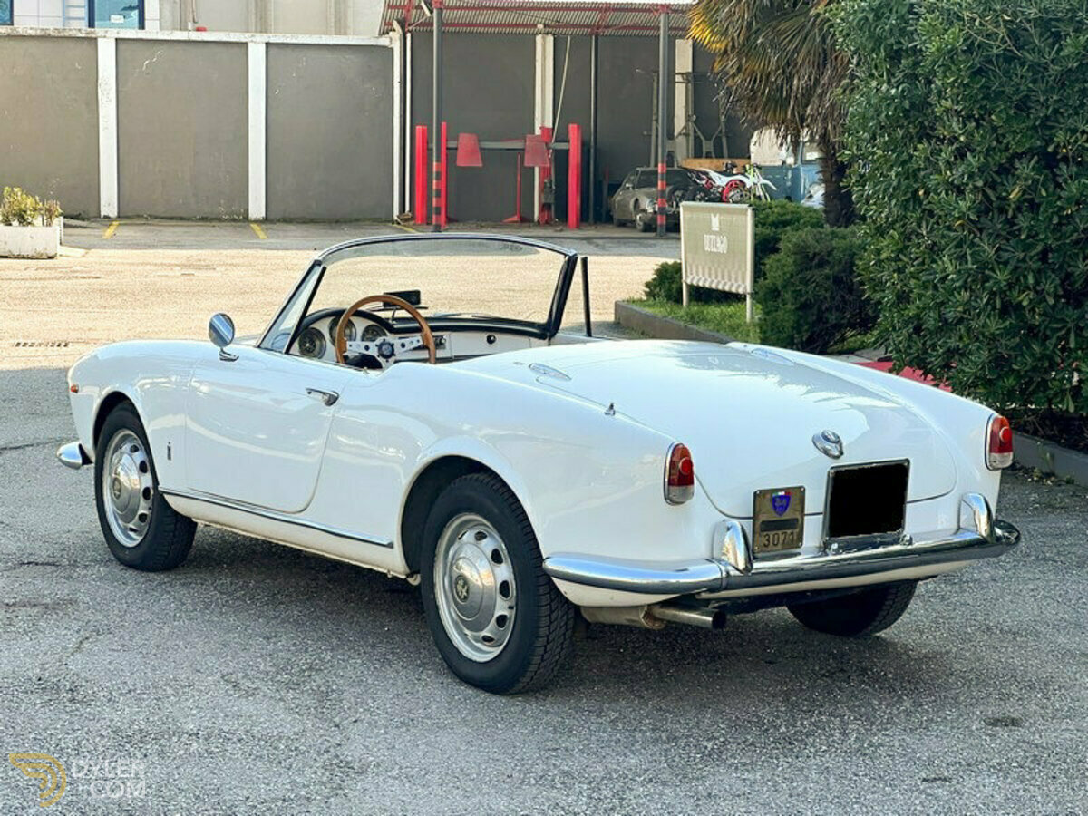 1961 Alfa Romeo Giulia Spider S3 (101.03), foto 3