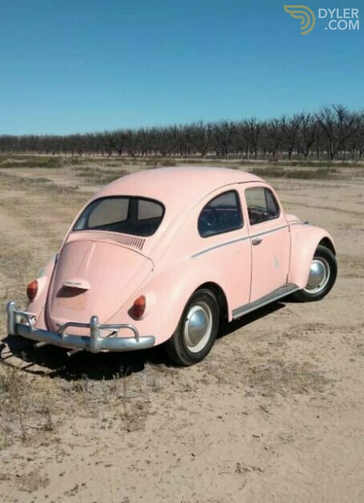 1964 Volkswagen Beetle, foto 3