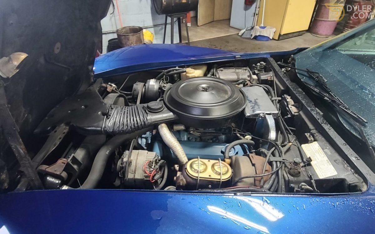 1977 Chevrolet Corvette, foto 5