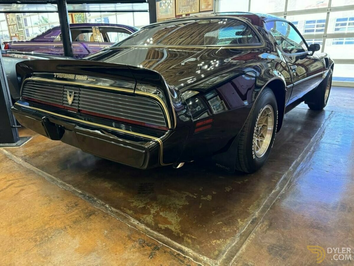 1981 Pontiac Firebird, foto 8