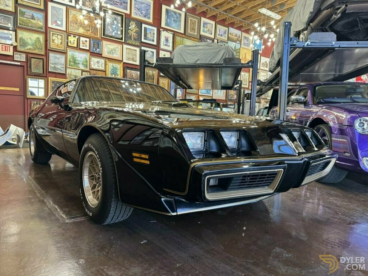 1981 Pontiac Firebird, foto 10