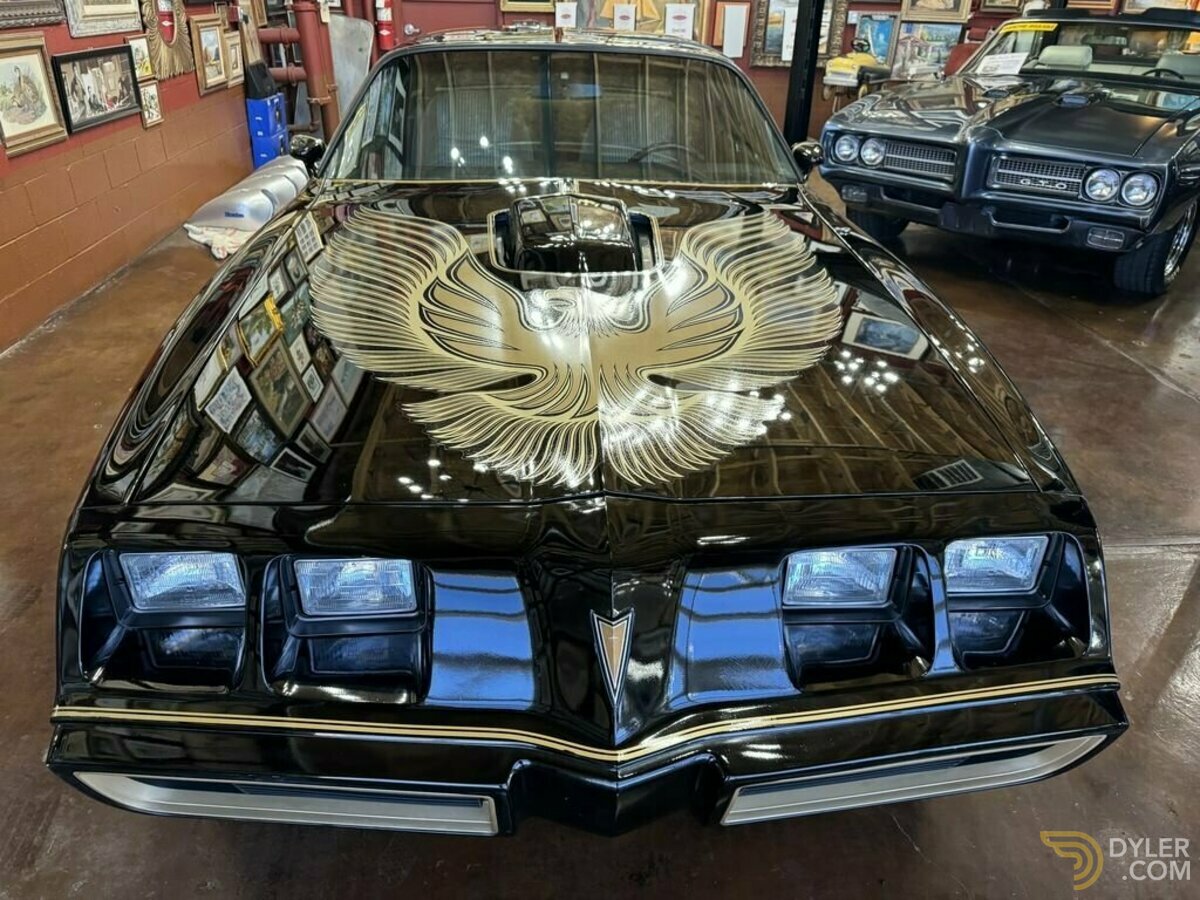 1981 Pontiac Firebird, foto 12