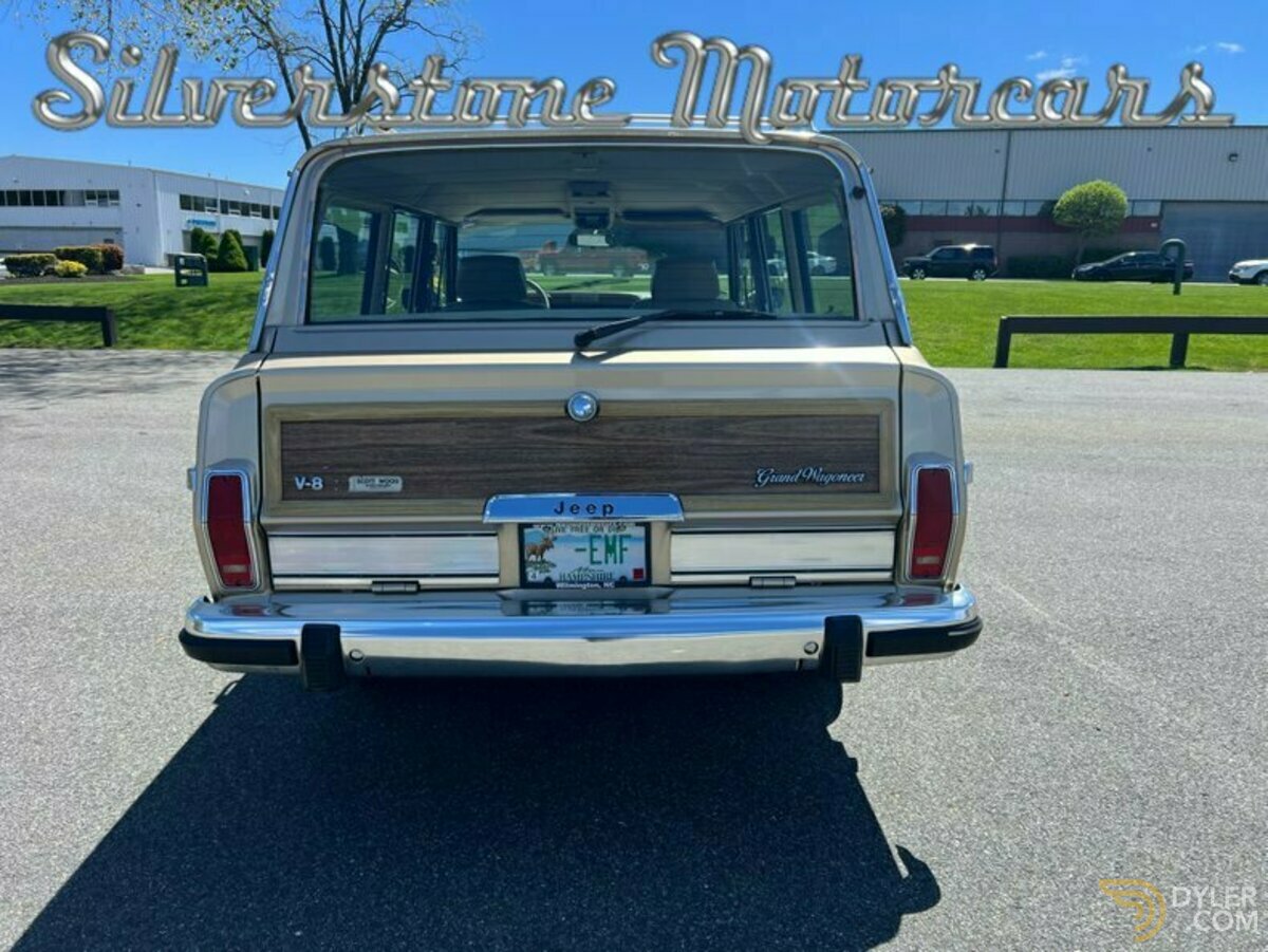 1989 Jeep Grand Wagoneer, foto 6
