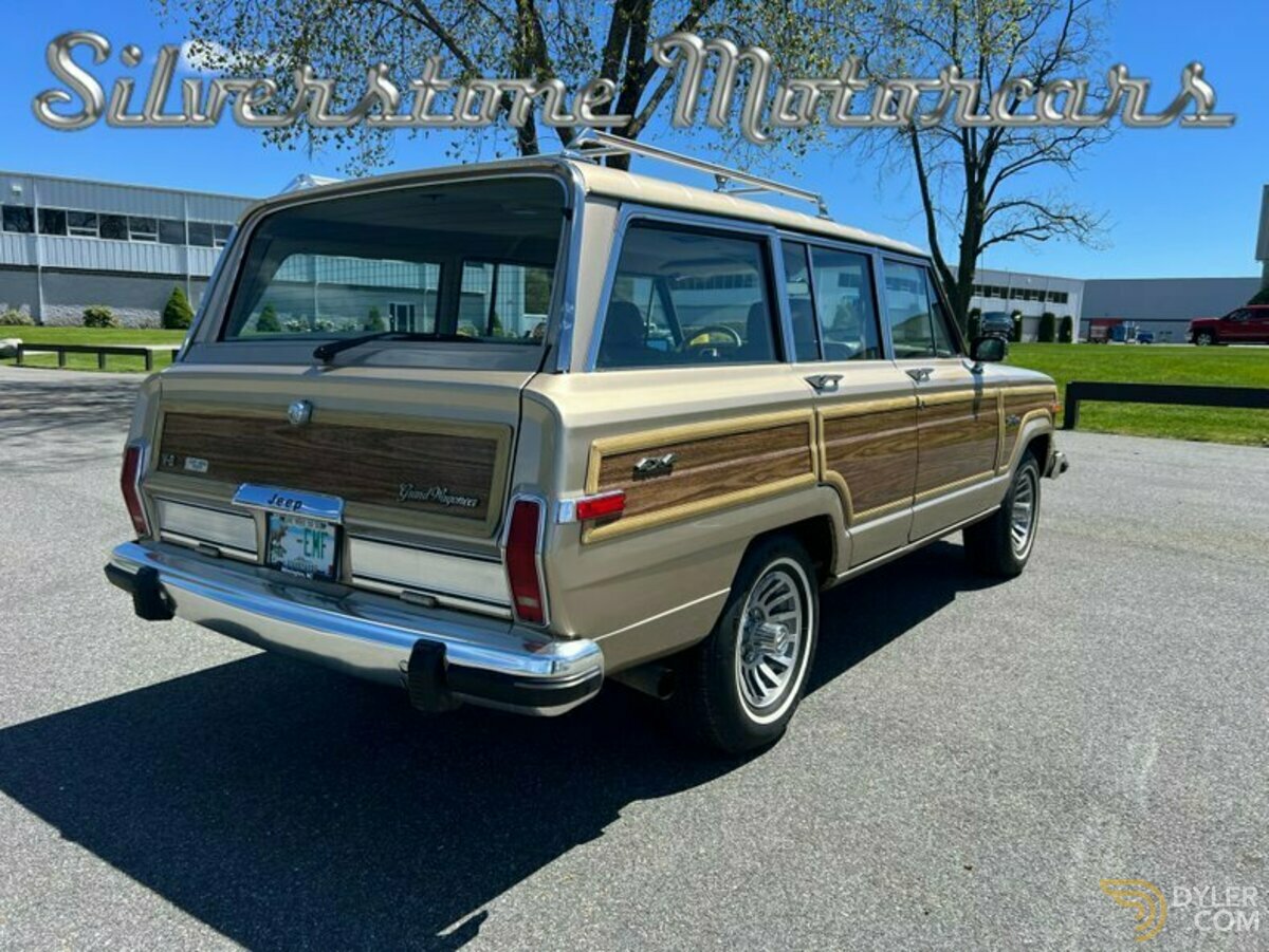 1989 Jeep Grand Wagoneer, foto 7