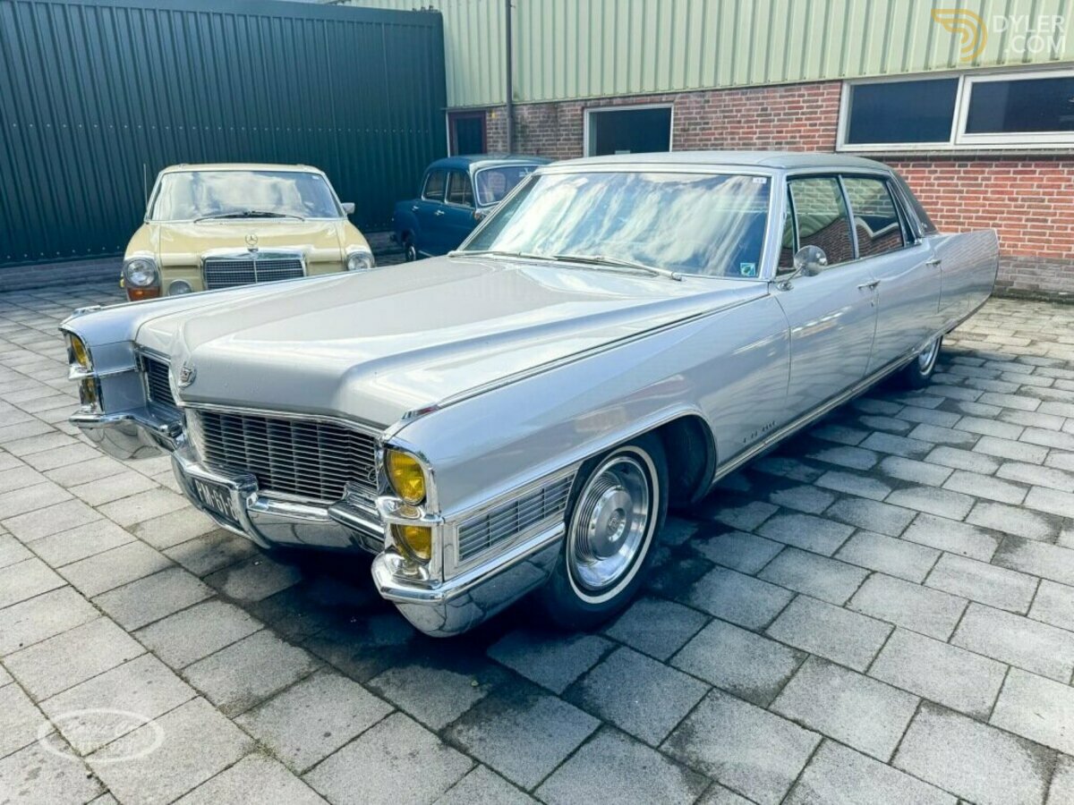 large_d2982865-7f2b-4a43-afb7-