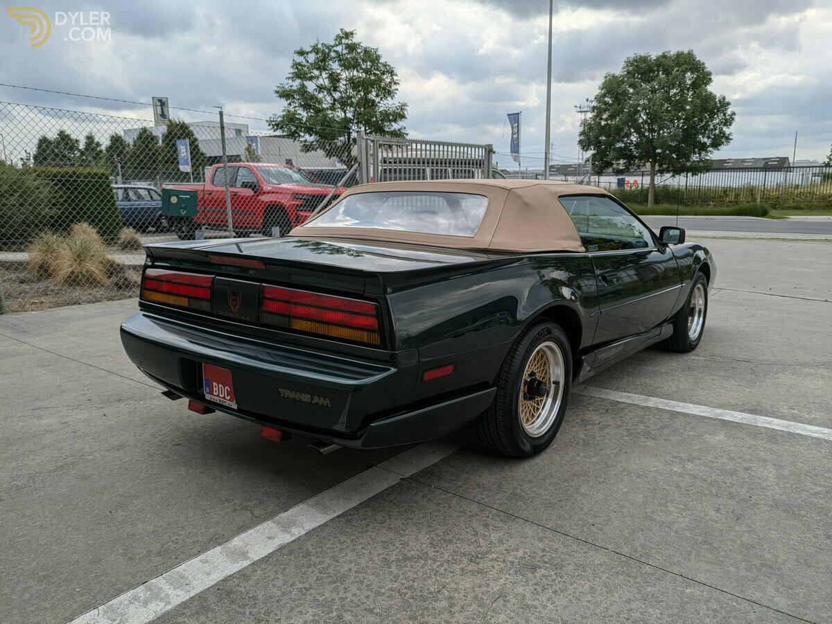 1992 Pontiac Firebird Trans Am Full cabriolet 2FS87+WS4 = 2FW87, foto 8