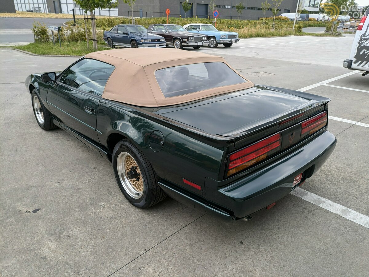 1992 Pontiac Firebird Trans Am Full cabriolet 2FS87+WS4 = 2FW87, foto 9