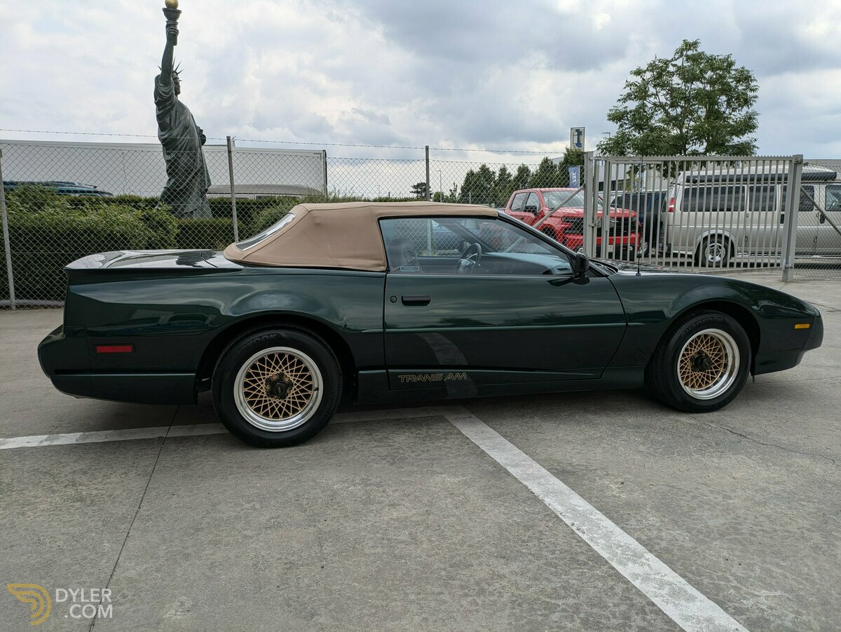 1992 Pontiac Firebird Trans Am Full cabriolet 2FS87+WS4 = 2FW87, foto 10
