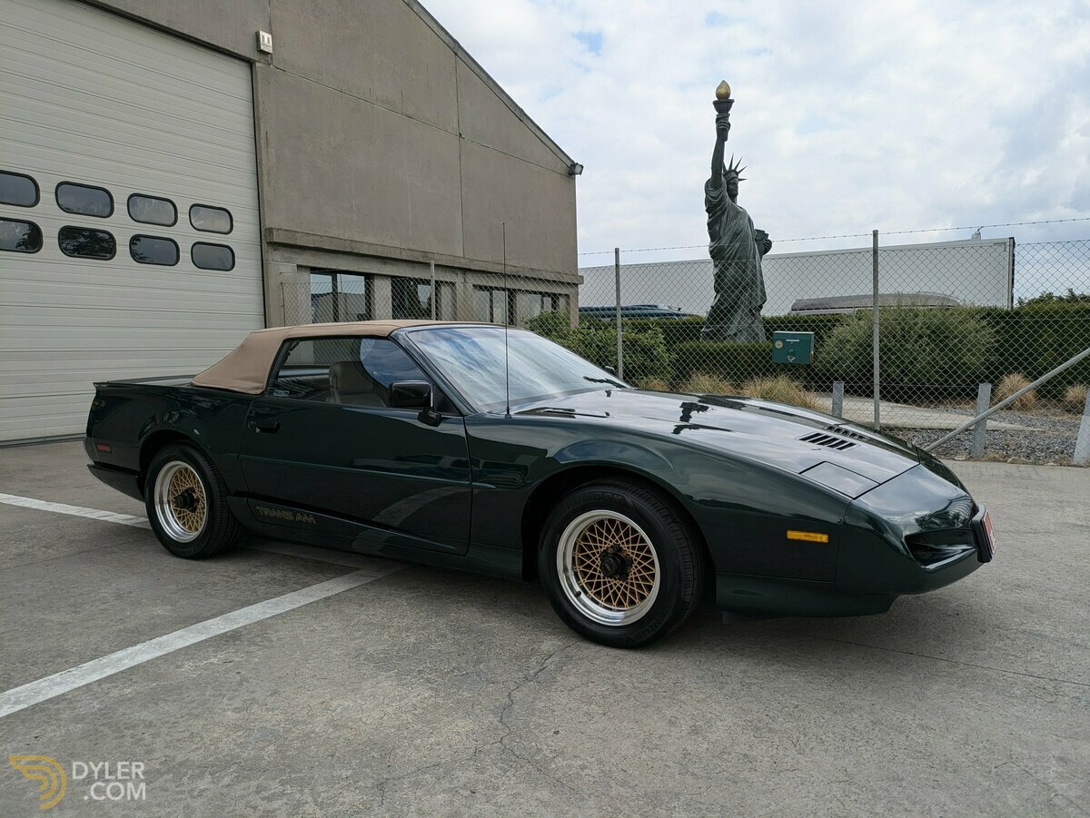 1992 Pontiac Firebird Trans Am Full cabriolet 2FS87+WS4 = 2FW87, foto 11