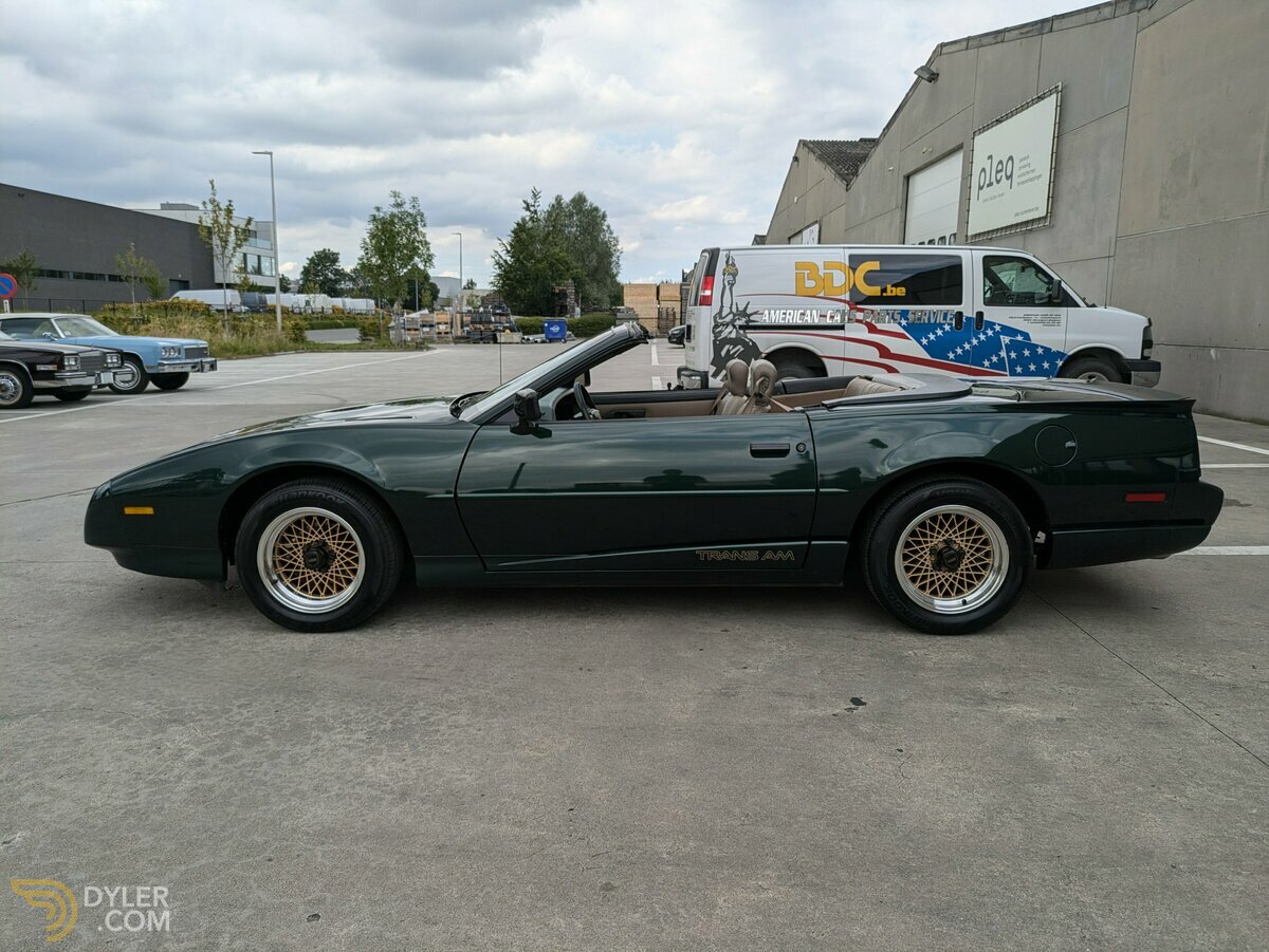 1992 Pontiac Firebird Trans Am Full cabriolet 2FS87+WS4 = 2FW87, foto 12