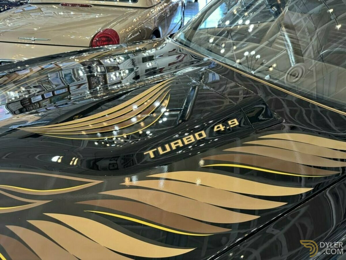 1981 Pontiac Firebird, foto 8