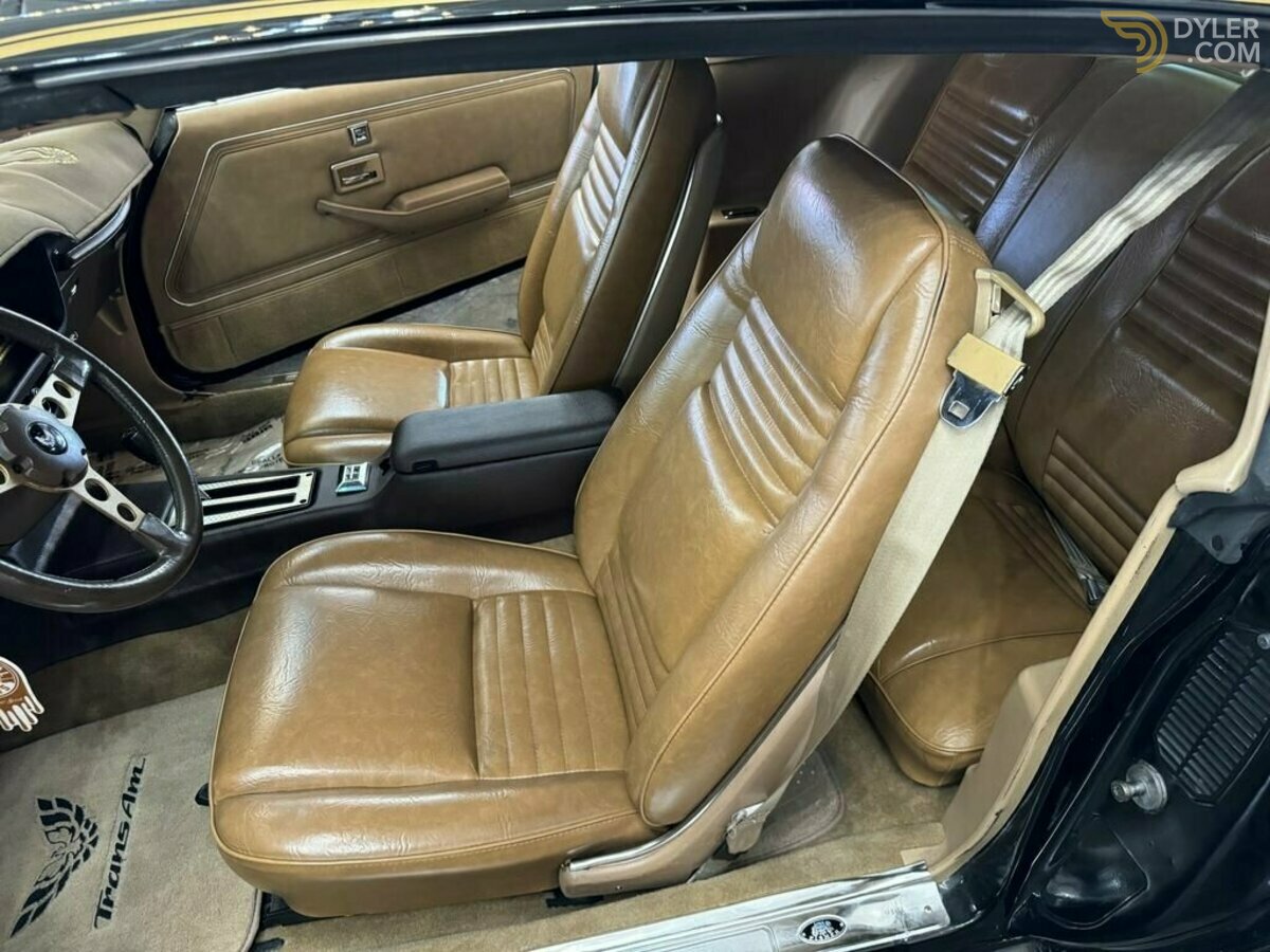 1981 Pontiac Firebird, foto 11