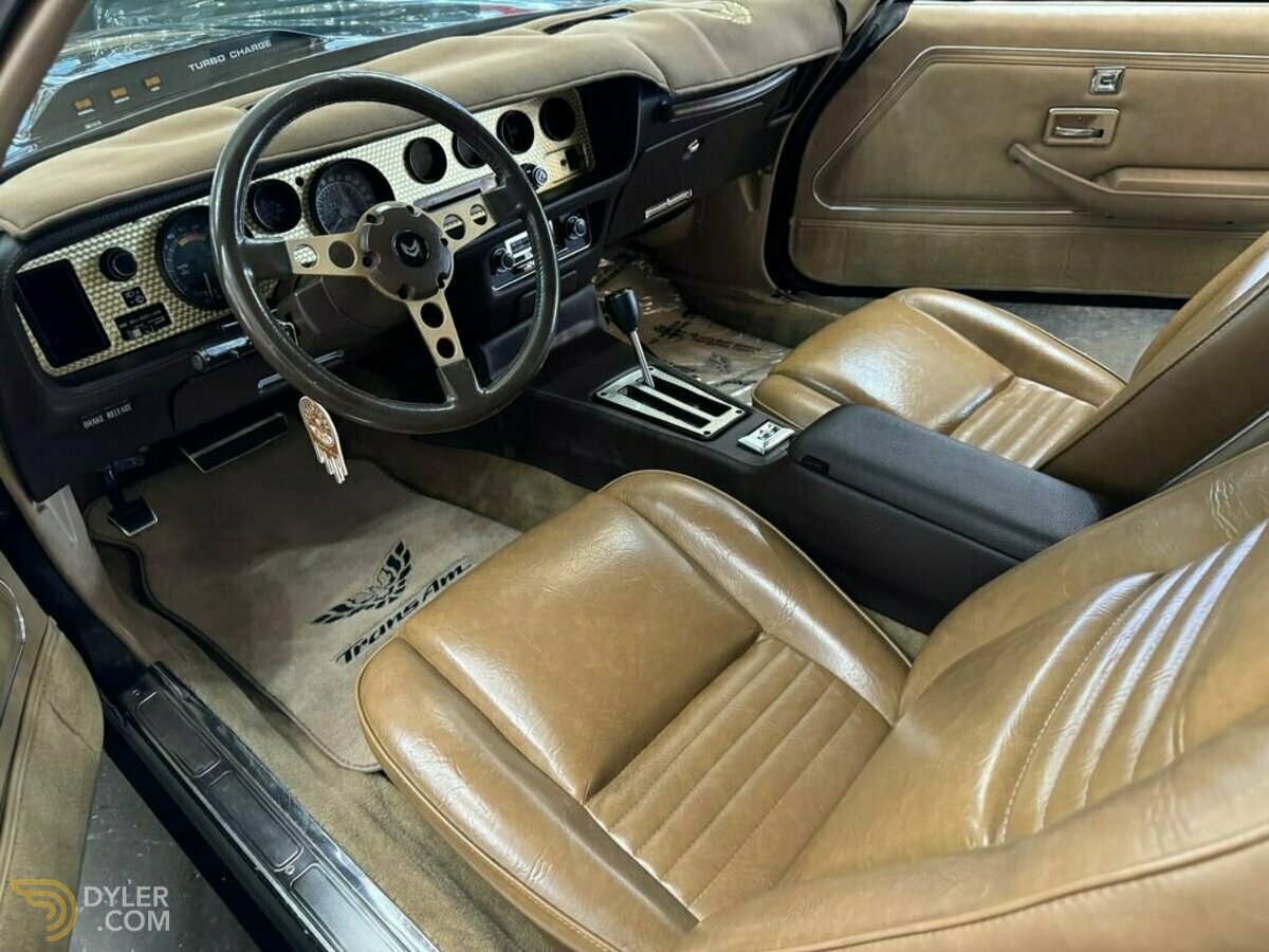 1981 Pontiac Firebird, foto 12