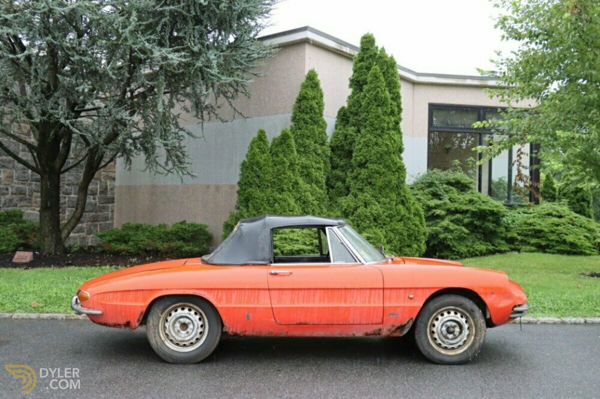 1966 Alfa Romeo Spider Duetto, foto 3
