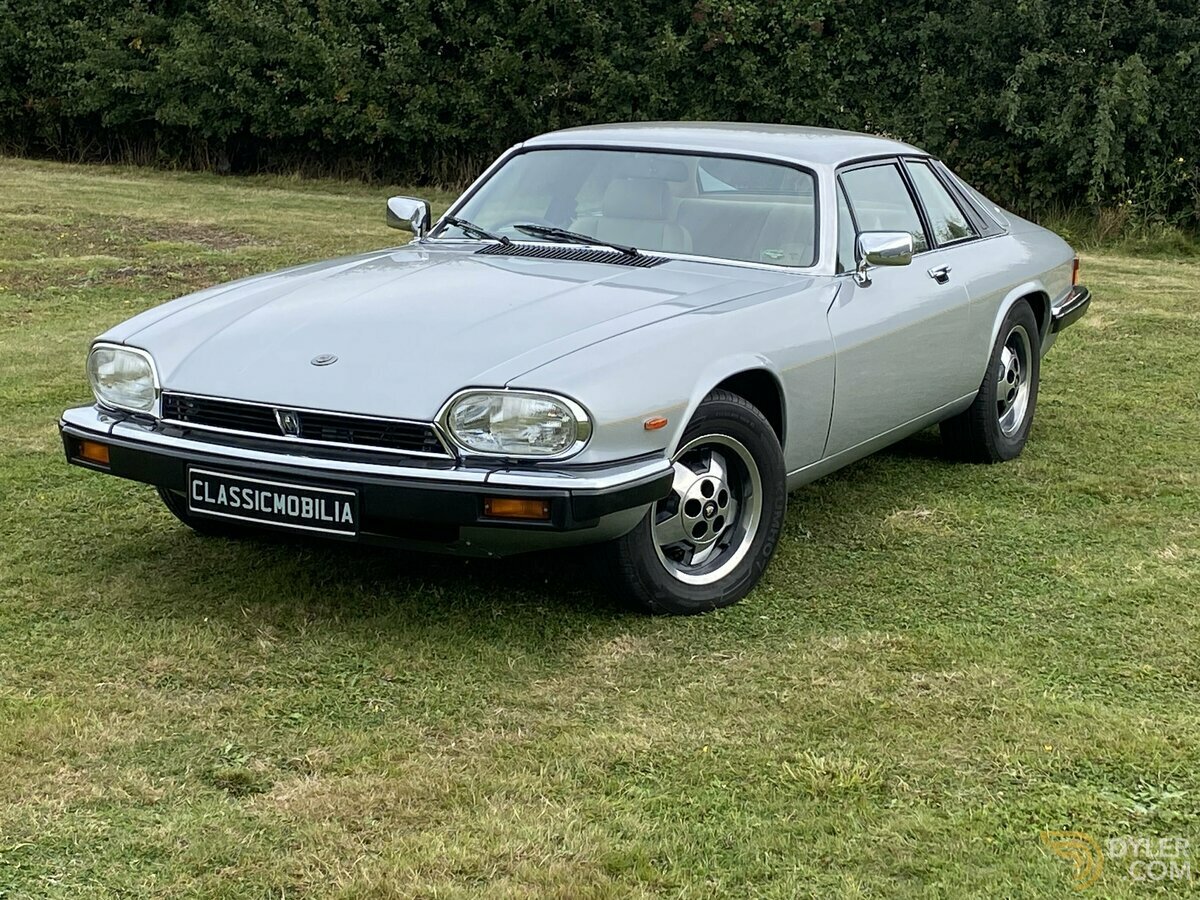 1981 Jaguar XJS HE V12 Coupe, foto 3