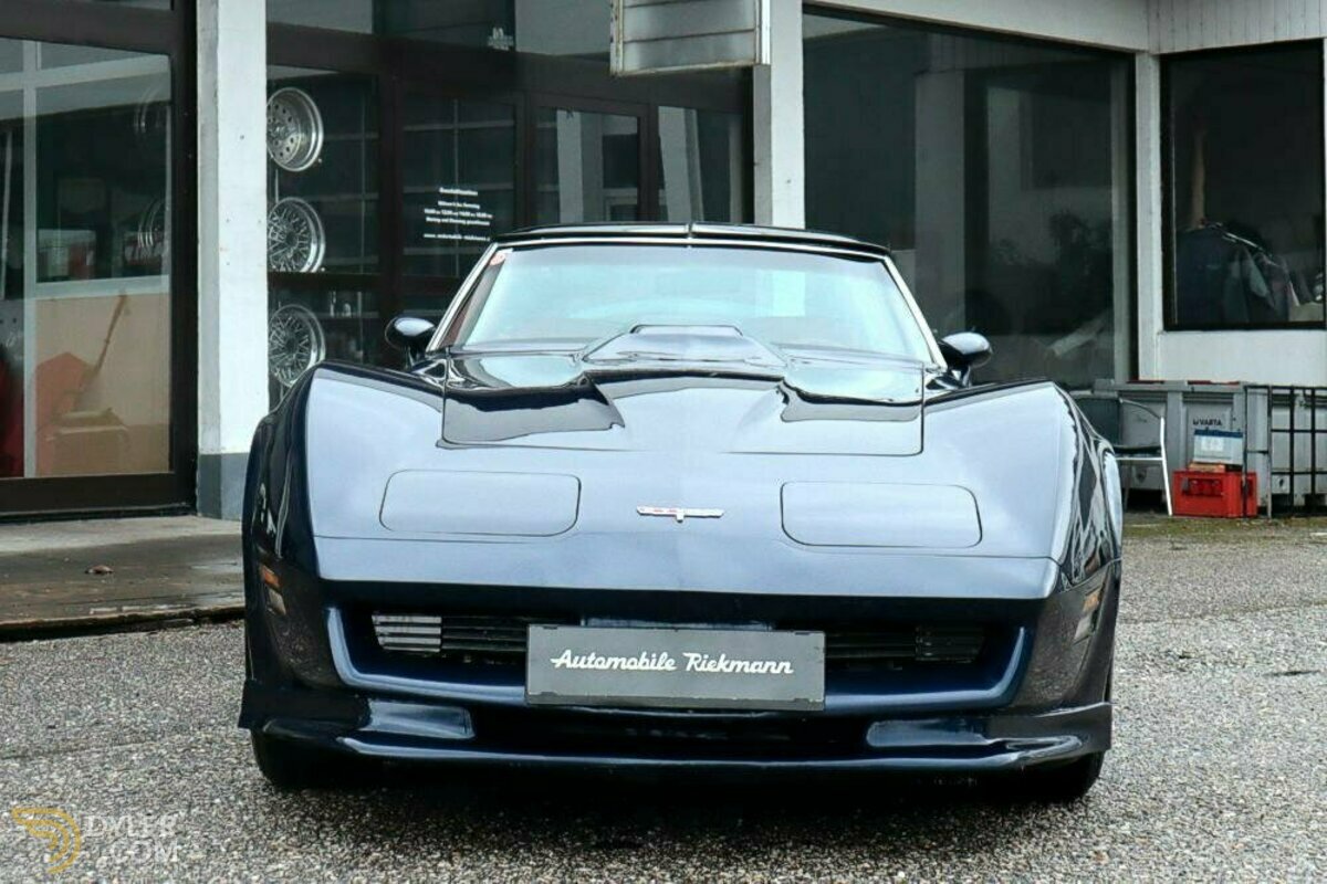 1980 Chevrolet Corvette C3 350 Custom, foto 6