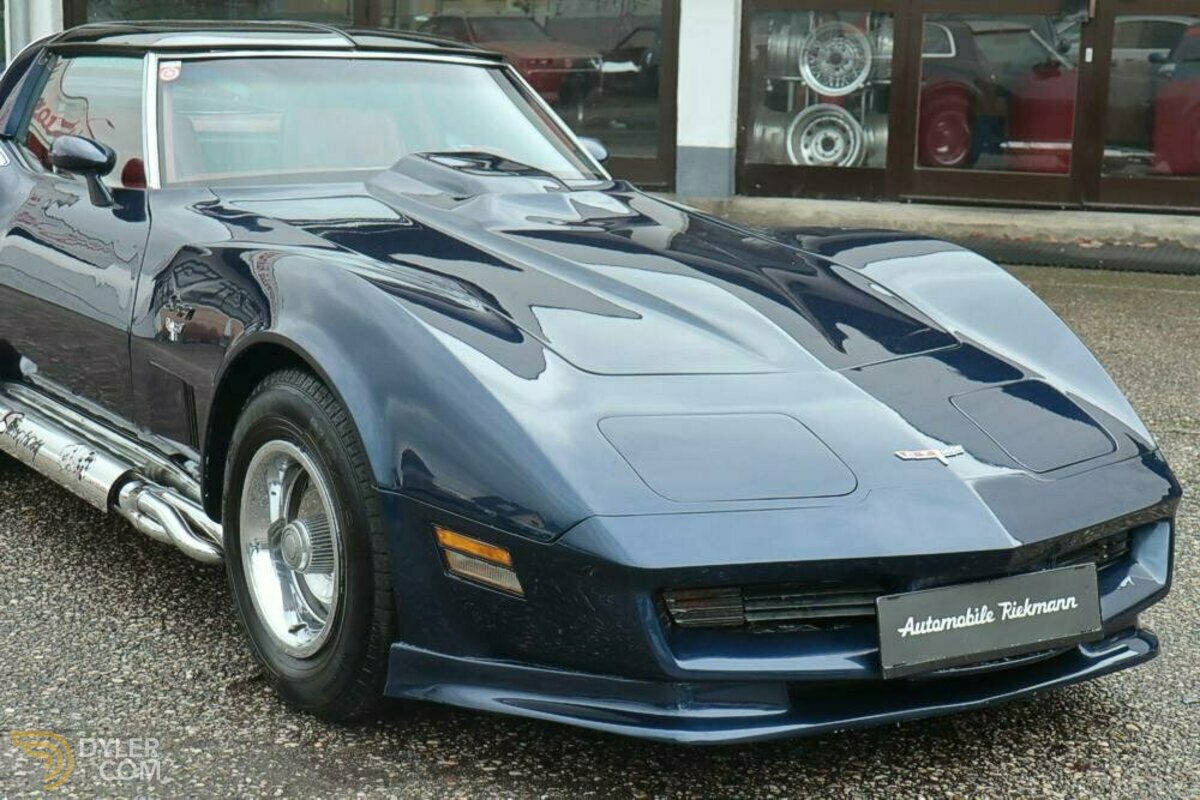 1980 Chevrolet Corvette C3 350 Custom, foto 9