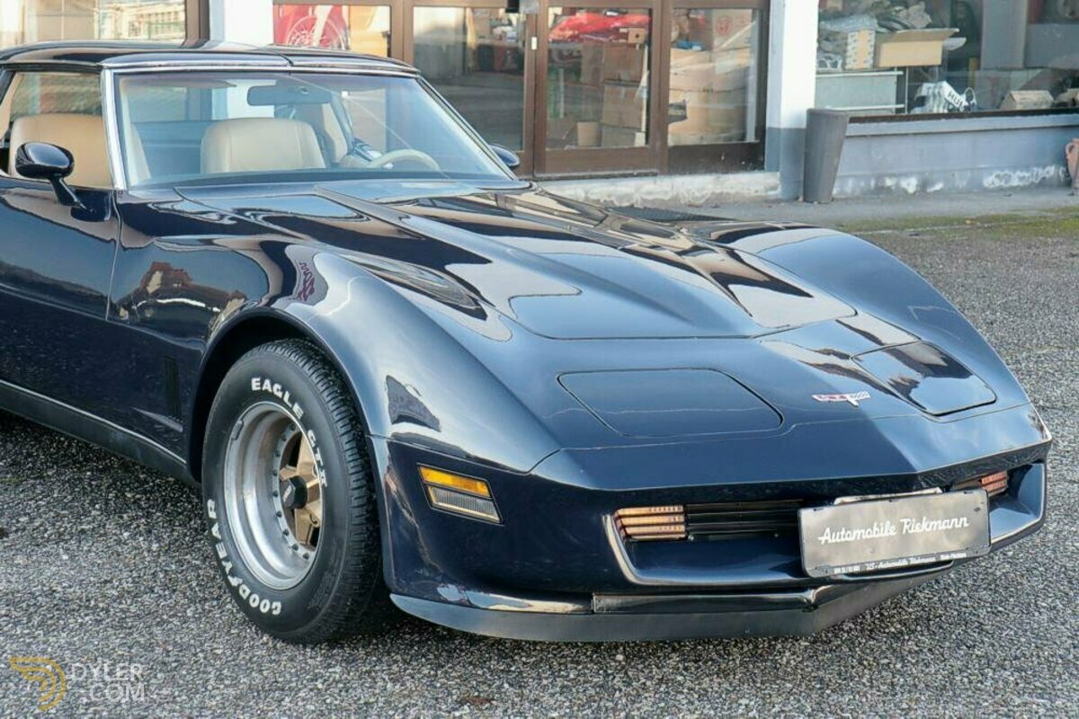 1981 Chevrolet Corvette C3 350 L-82, foto 8