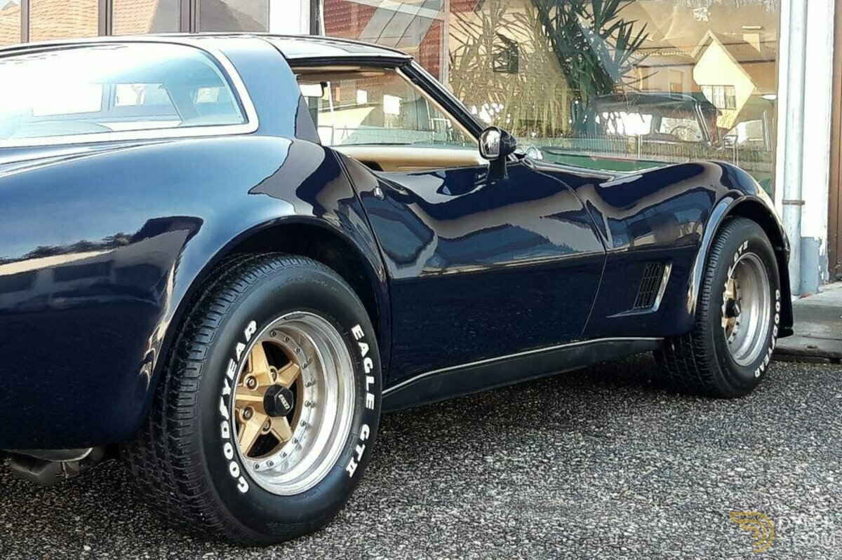 1981 Chevrolet Corvette C3 350 L-82, foto 10