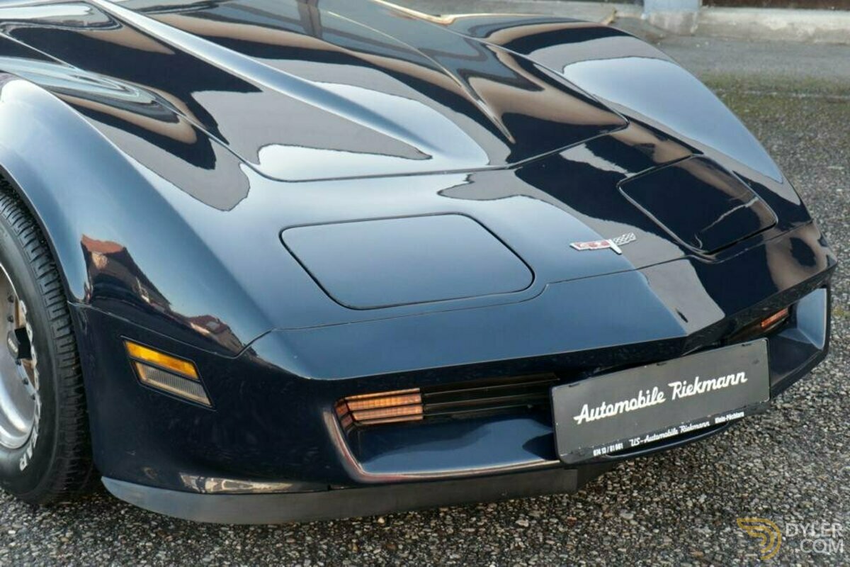 1981 Chevrolet Corvette C3 350 L-82, foto 11