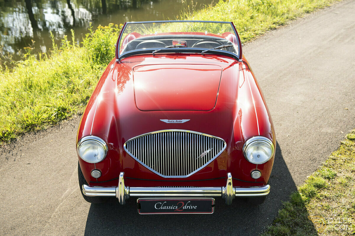 1955 Austin-Healey 100 Stunning BN2 Multiple Concours Winner, foto 2